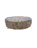Queso Appenzeller Queso Appenzeller