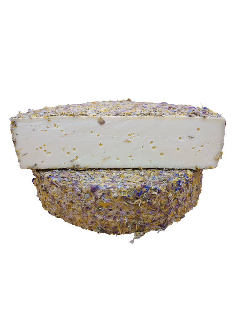 queso suizo appenzeller