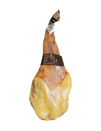 Paleta Serrana Castaña Coren 2