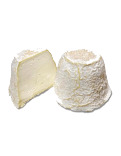 Rey Silo Blanco