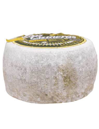 Queso Semicurado Los Cameros