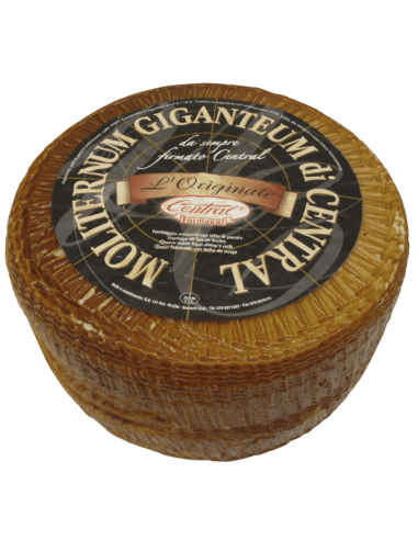 PECORINO MOLITERNO GIGANTE ORIGINAL