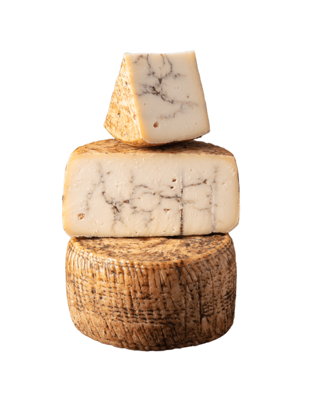 Queso Pecorino Moliterno al Tartufo