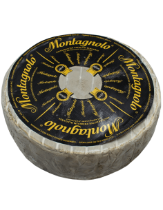 Queso Montagnolo