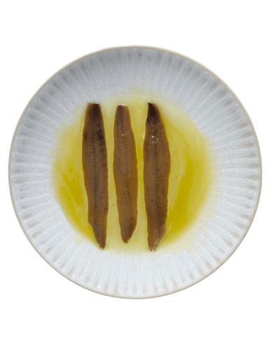 Anchoa del cantábrico en aceite de oliva