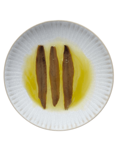 Anchoa del cantábrico en aceite de oliva