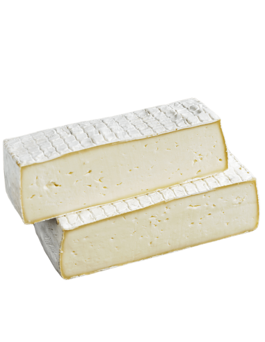 Queso de Cabra Briqueta