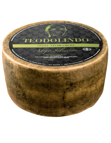 Queso de oveja añejo selección Teodolindo Chillón