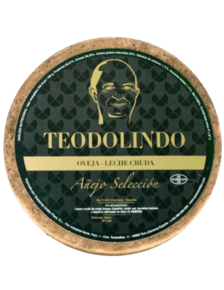 Queso de oveja añejo selección Teodolindo