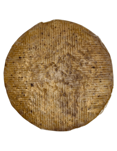 Queso de oveja curado en vino Azumbre