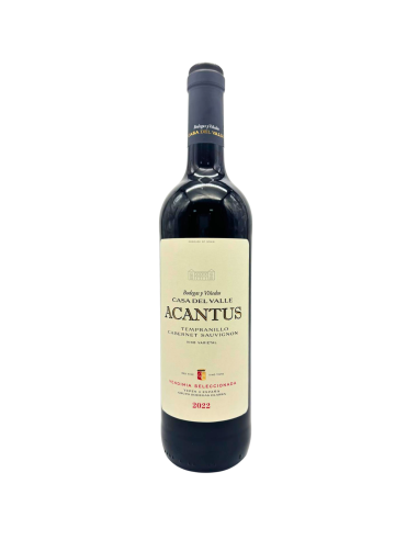 Botella de vino Tinto