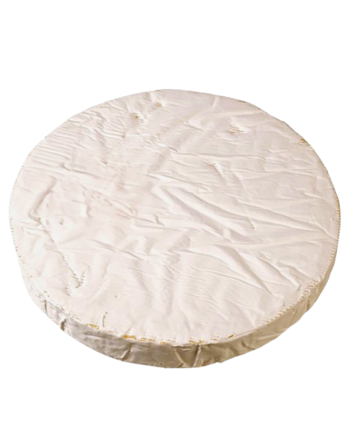 Le Petit Brie
