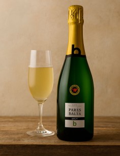 Cava Brut Parés Baltà 2
