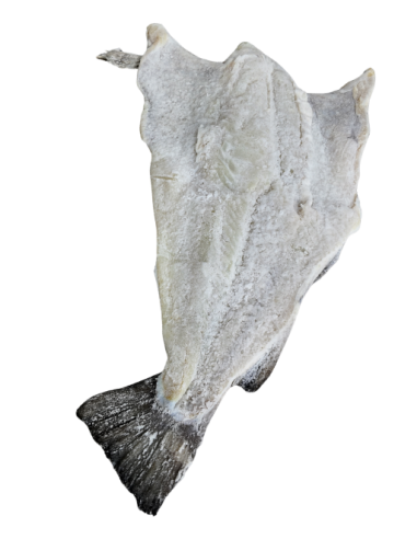 hoja de bacalao 10/20