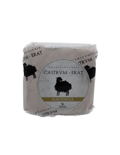 Nacencia Castrvm Erat