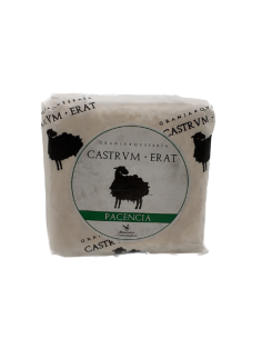 Pacencia Castrvm Erat