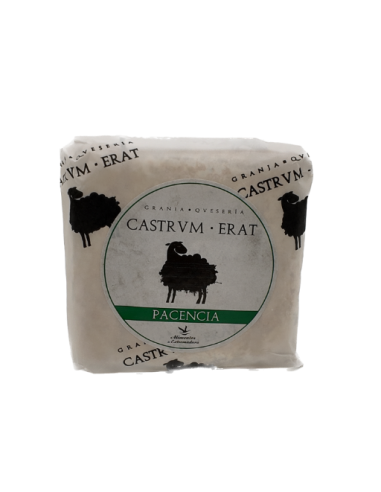Pacencia Castrvm Erat