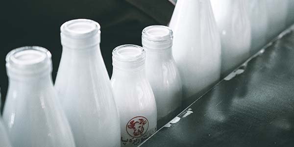 envases de leche en el día de la leche